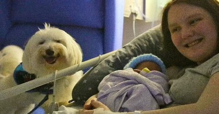  Amazing story: this young girl gave birth in the UK for the first time in the presence of a service dog