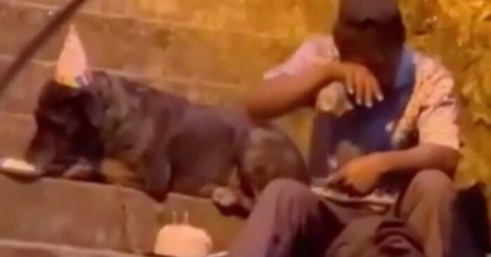  A heartwarming sight: this lonely homeless man celebrates his beloved dog’s birthday in these cute photos