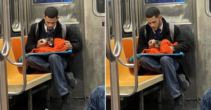  A touching scene: this boy finds a small lonely cat in the subway and awakens faith in people