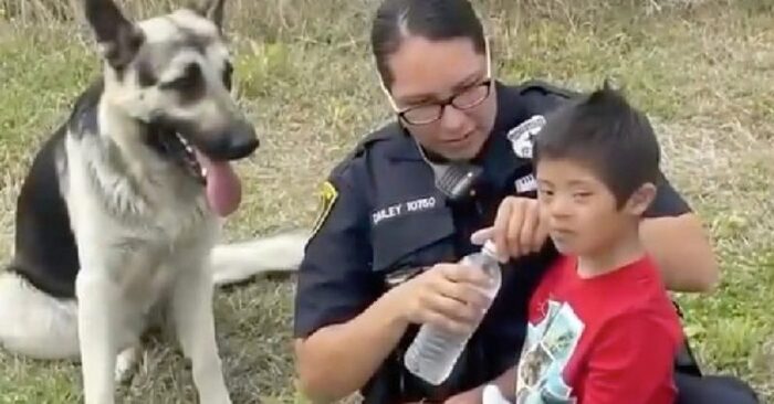  This wonderful and clever dog stayed with the missing boy until the rescue team arrived