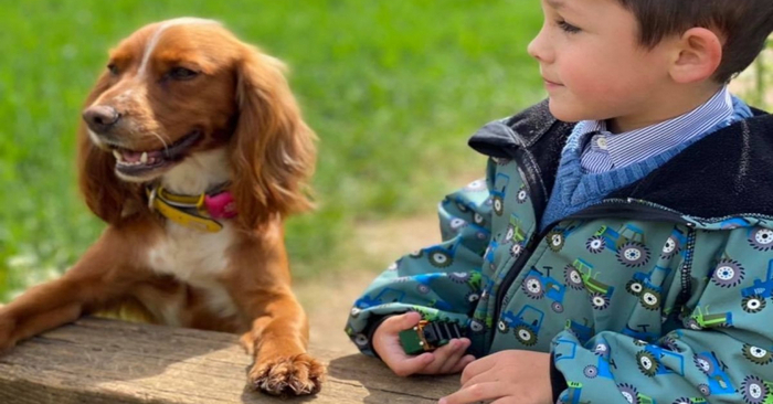  Amazing story: this autistic boy slowly begins to communicate with people only thanks to a dog