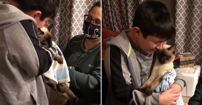  A wonderful reunion: this boy cries with happiness when he finds his beloved lost cat