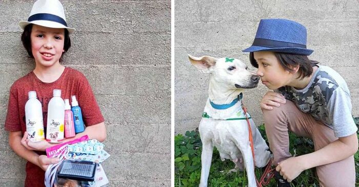  A wonderful story: this kind and caring boy used to bathe lonely dogs hoping to get them adopted
