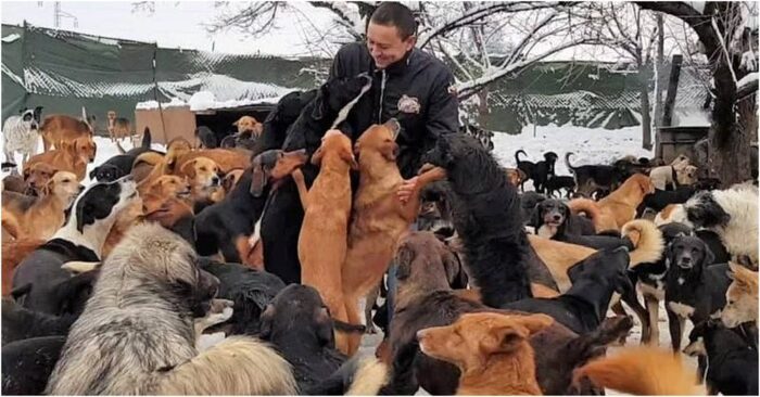  A beautiful story: this kind and caring man felt sorry for all the street dogs and decided to adopt many dogs