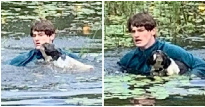  In a truly heroic move: this young man entered the lake without hesitation to save a stranger’s dog