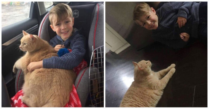  Great choice: this boy really wanted a pet and chose a cat from a shelter