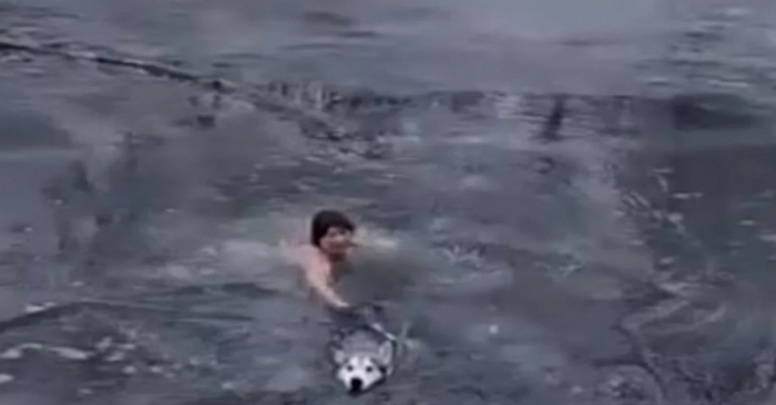  Beautiful story: this brave 65-year-old woman fights in an icy river to save the life of a husky