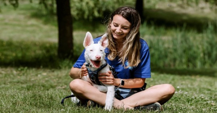  A beautiful story: after learning sign language, this deaf dog became happy and confident again