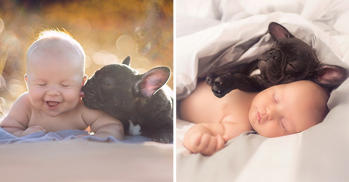  Cute scene: this baby and dog were born on the same day and they think they are brothers