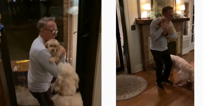  The owners did not expect their beloved dog to welcome their new member in this way. It’s amazing!