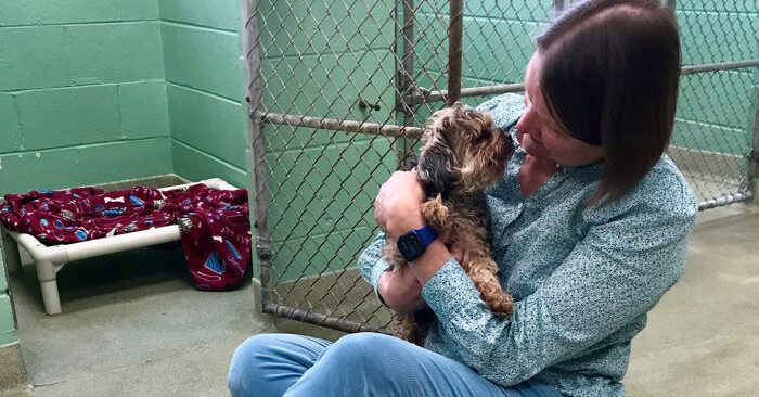  What a surprise: this woman’s cute dog went missing in 2014 and 7 years later there was incredible news