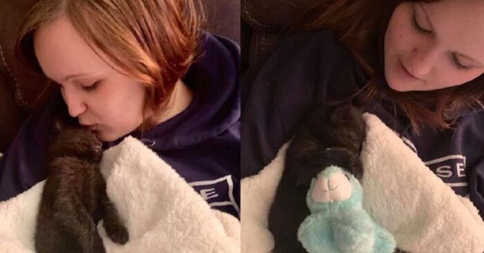 What a cute scene: lovely rescue kitty always brings her “baby” blanket with her