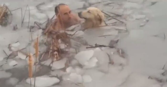  Dog stuck in a frozen lake, but finally a brave police officer was able to save him