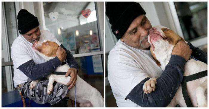  A beautiful story of a touching reunion: a kind owner returned to the shelter and took the dog home