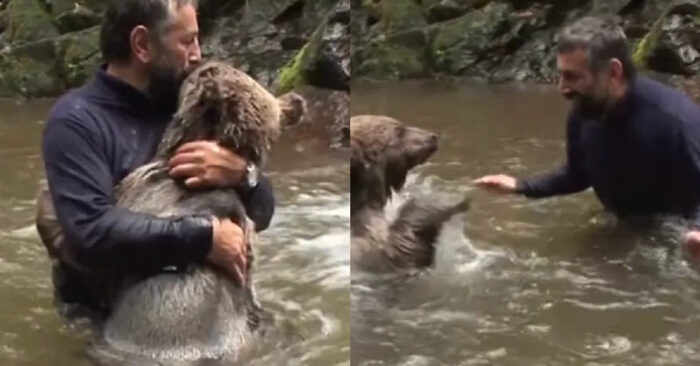 Cute scene: a kind explorer shares a sweet hug with the friendliest wild bear