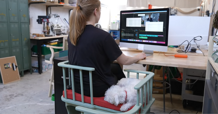  What a cute scene: a girl invented a chair where her pet can rest next to her while she works