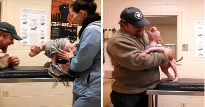  How cute is this: little Pit bull was delighted when the man returned to adopt him