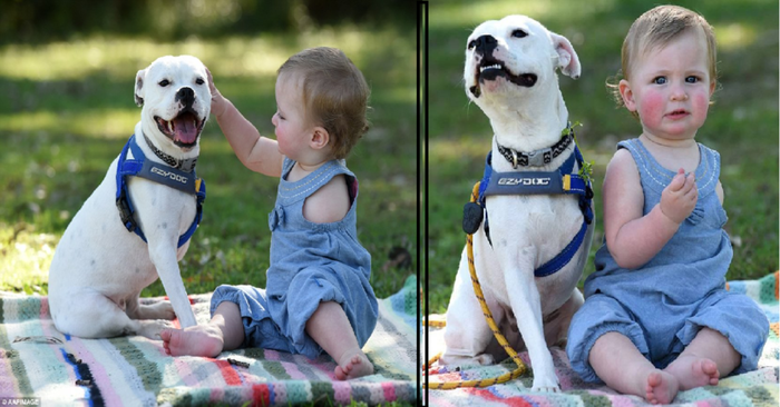  Cute story: a beautiful girl born without a left arm has a three-legged pet best friend