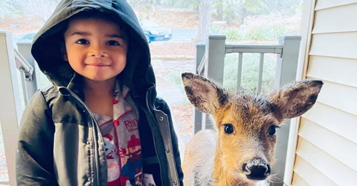  What a sweet story: this beautiful boy played in the forest and brought home his new friend deer