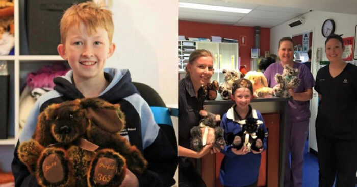  What a cute boy: a talented 12-year-old boy sews teddy bears for a good cause in his spare time