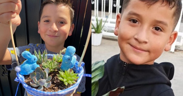  This is incredible: this little boy came up with a business idea and bought an apartment after 8 months