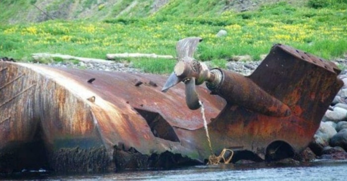  «Reminiscent of mysticism»: abandoned historical submarines are surprising