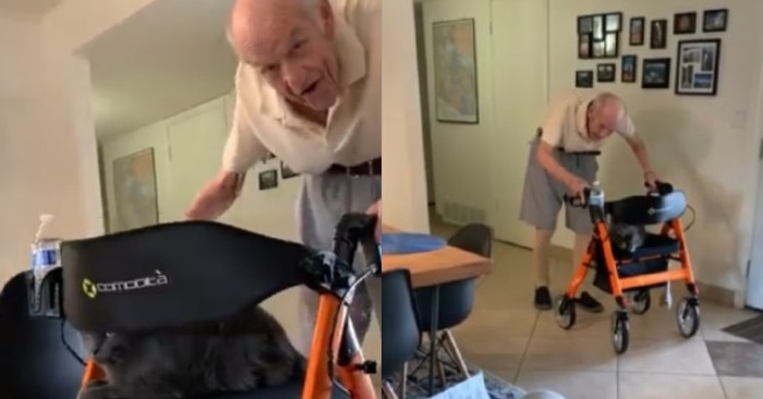  «Age did not affect his positivity»: 94-year-old grandfather enjoys walking with his cat in a stroller