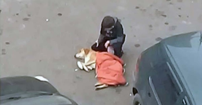  People were surprised by the kindness of a little boy who covered a freezing dog with a jacket