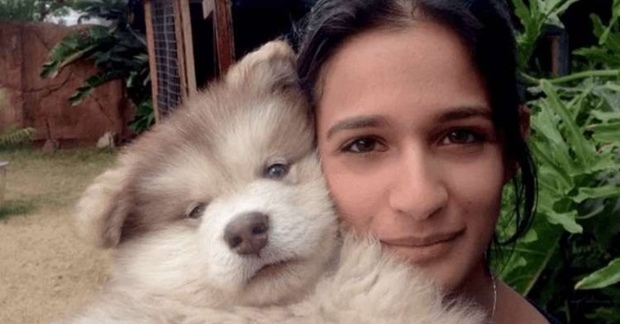  A Giant Best Friend: The Story of a Woman and Her Alaskan Malamute