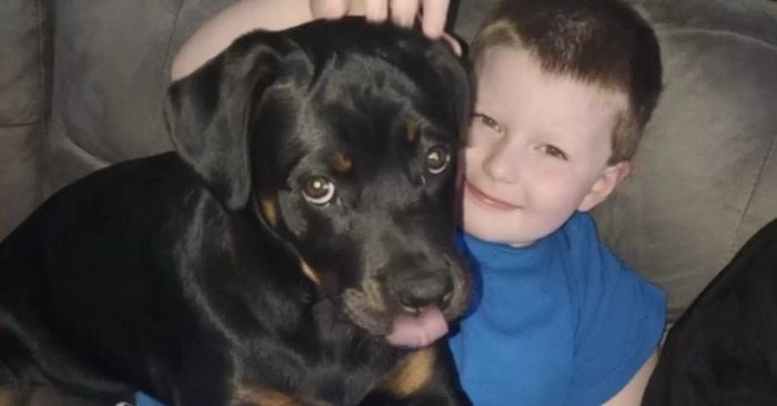  The dog slept with his brother thus saving his life