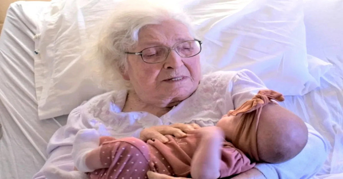  «Six generations are posing together!»: The woman-heroine holds the newborn for the very first time