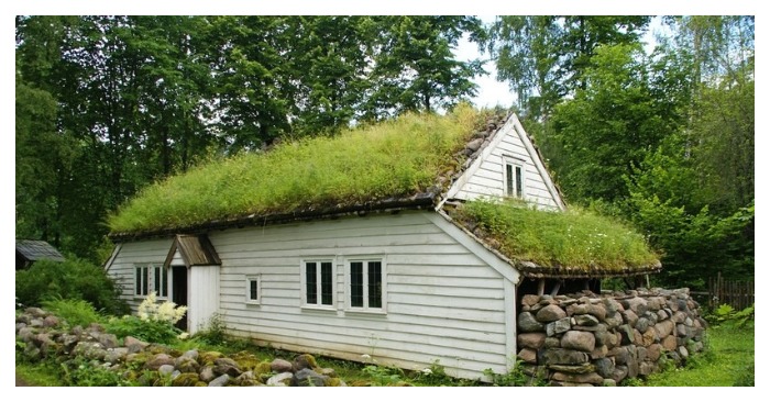  Only few people know why grass grows on the roofs of the houses in Scandinavian countries