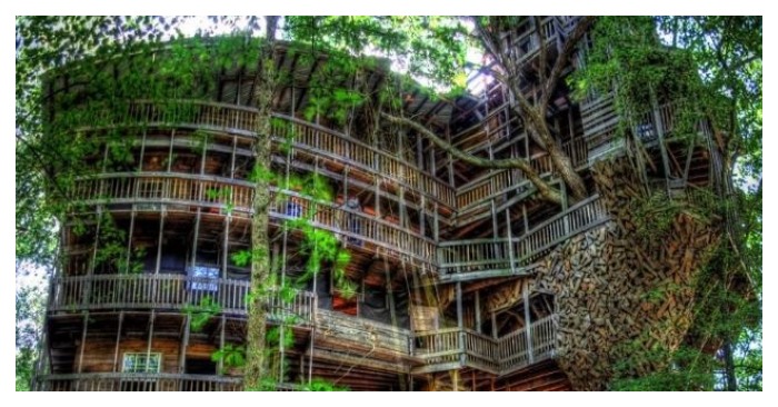  «Something out of this world!» One American man built a huge tree house and left everyone speechless