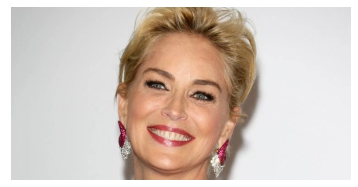  «No plans to age at 65!» Actress Stone who embraces natural ageing still captivates the world with her timeless beauty