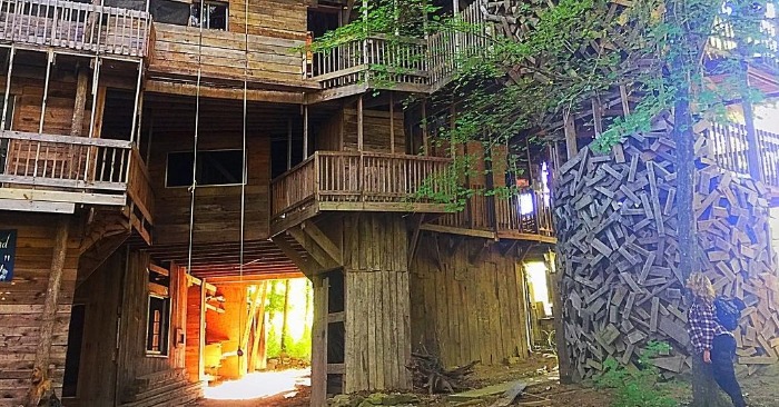  «Nobody expected such a result!» Here is the inside of the tree that this man transformed into a house