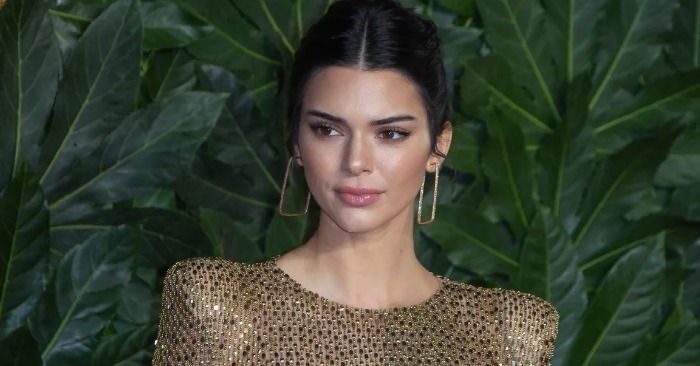 «Where are your undergarments?» Kendall Jenner left fans speechless in ...