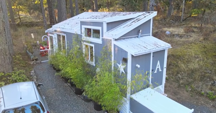  «This was built by a pensioner!» Grandma built tiny house as a retirement solution and was surprised herself