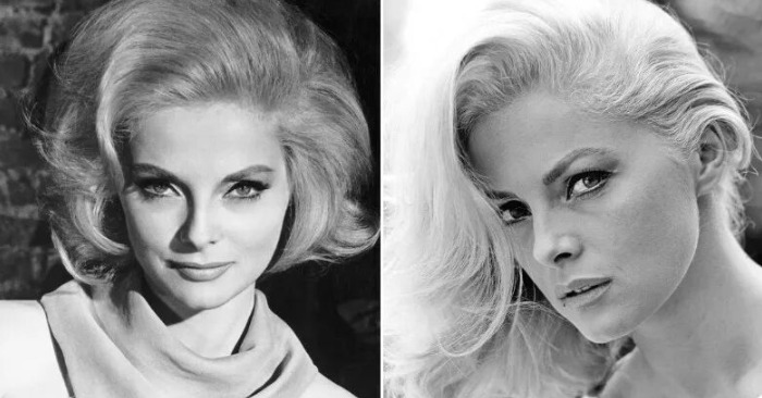  «She aged like wine!» This is how time changed Virna Lisi, one of the most desired 1960s’ Italian actresses