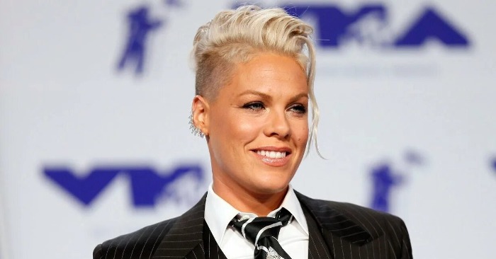 «Mom’s genes hit the genetic jackpot!» Here is everything to know about singer Pink’s daughter