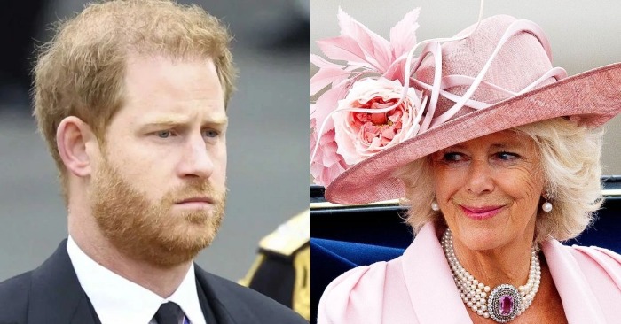  «Gossips were true!» Prince Harry flows to the UK after the King’s cancer diagnosis and evokes the Queen’s fury