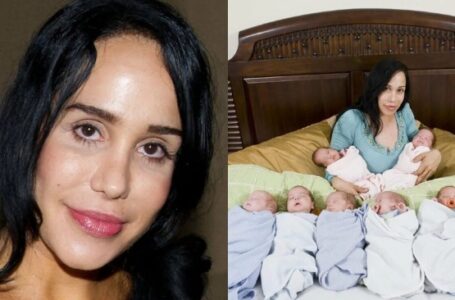 «The Octomom and her kids 14 years later!» This is what happened to the mother-heroine and her eight children