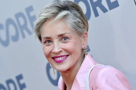 «Swollen veins, rounded knees and orange-peel skin!» New scandalous photos of Sharon Stone surface the network