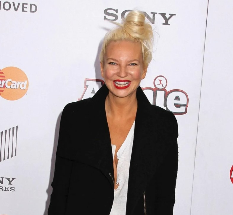 «First baby reveal!» The big news that Sia has become a mother for the ...