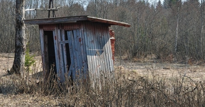  “From Eyesore to Eye-Catcher:” How One Man Revamped a Run-Down Public Toilet